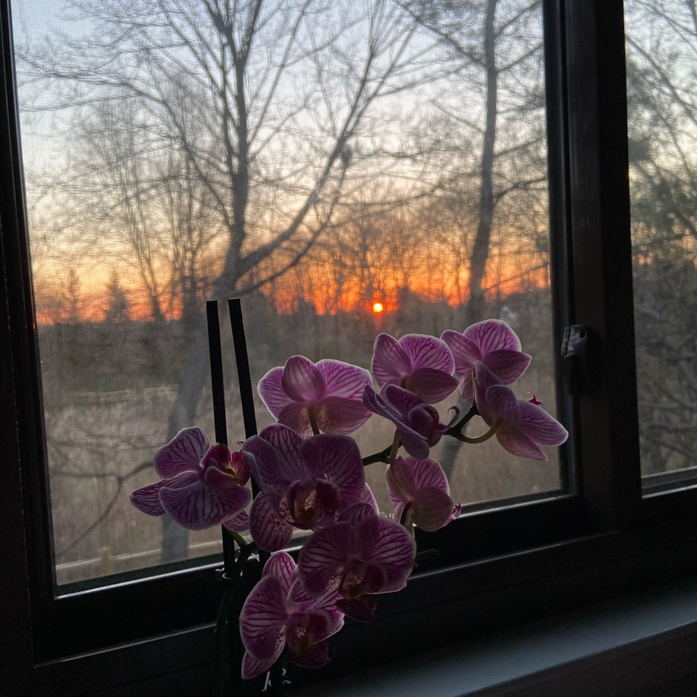 Meet your Posher, Carena